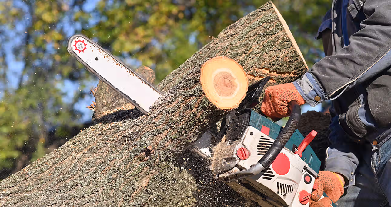 creation de jardin paysagiste patrick andré