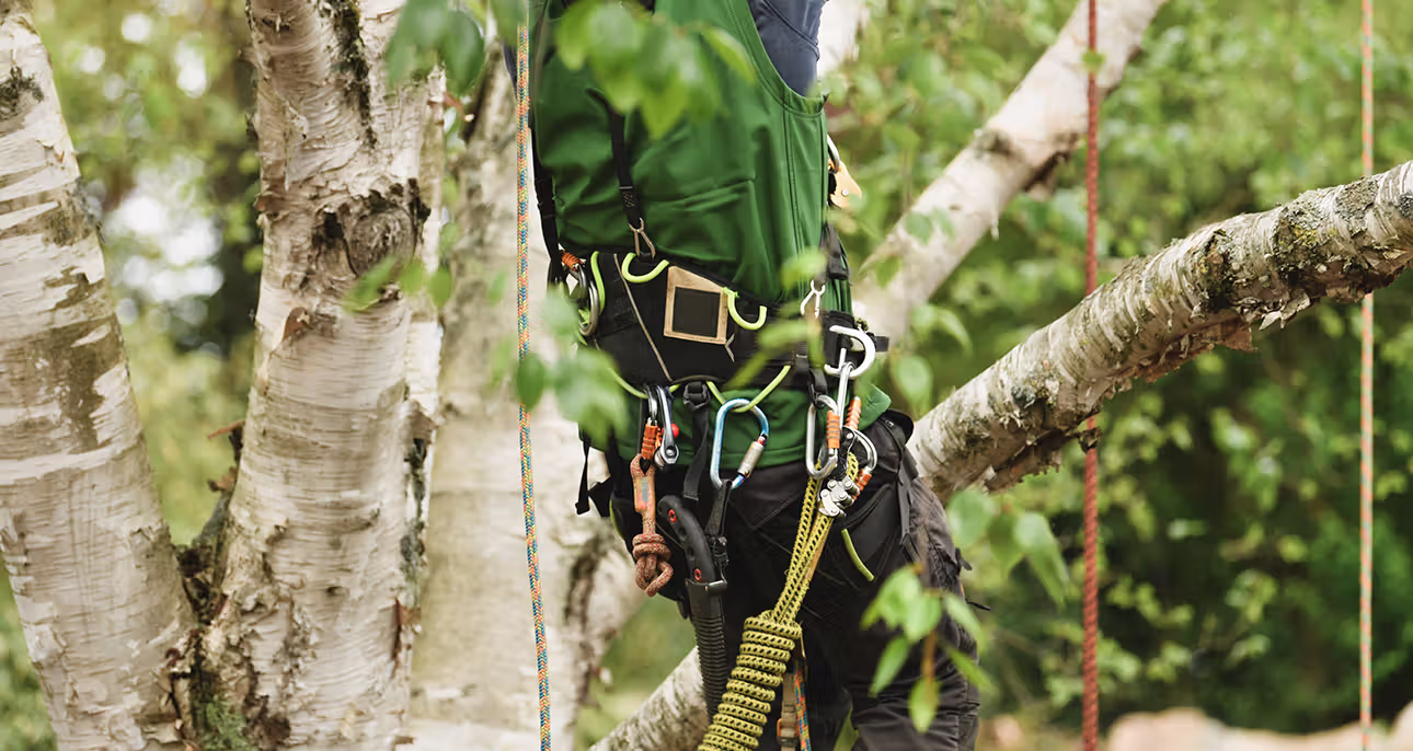 creation de jardin paysagiste patrick andré