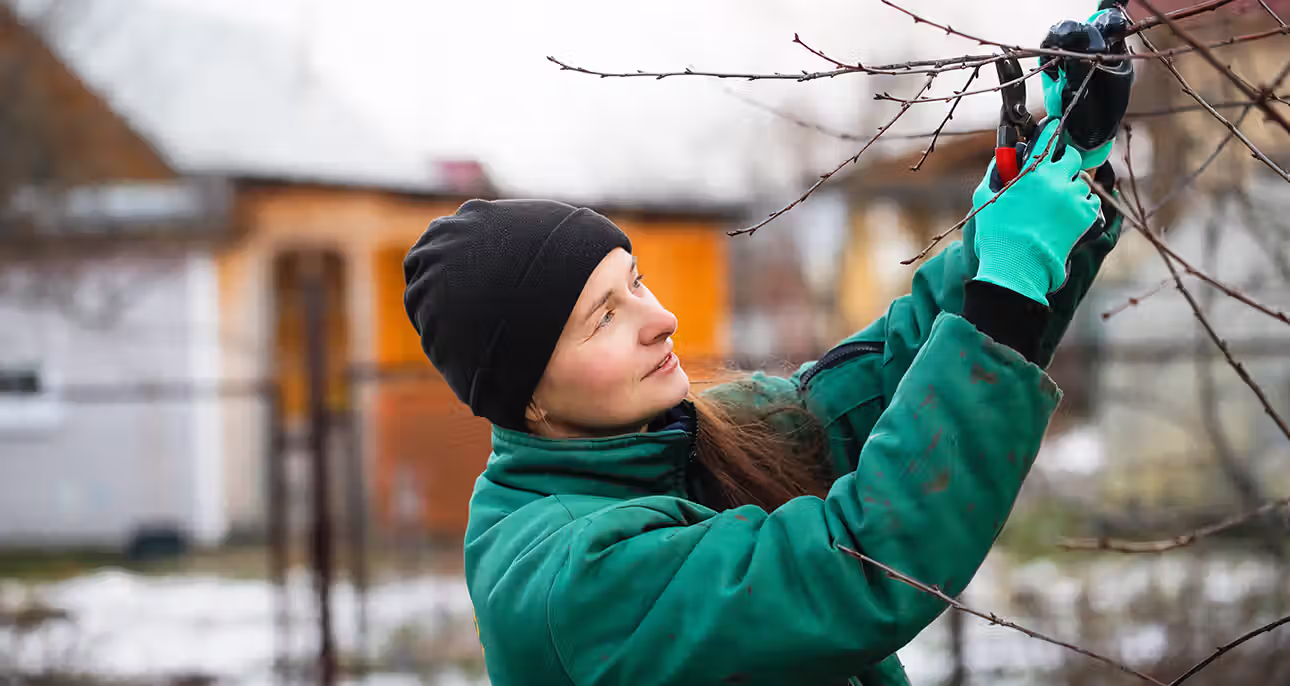 creation de jardin paysagiste patrick andré