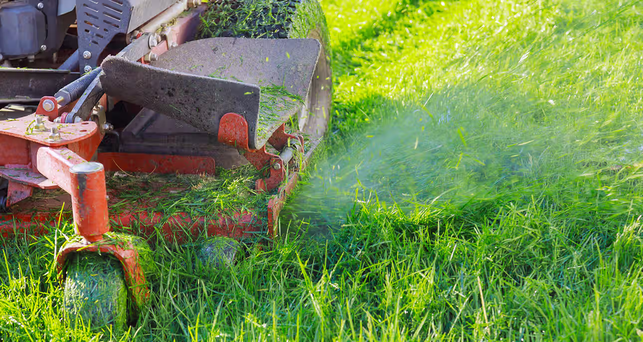 creation de jardin paysagiste patrick andré